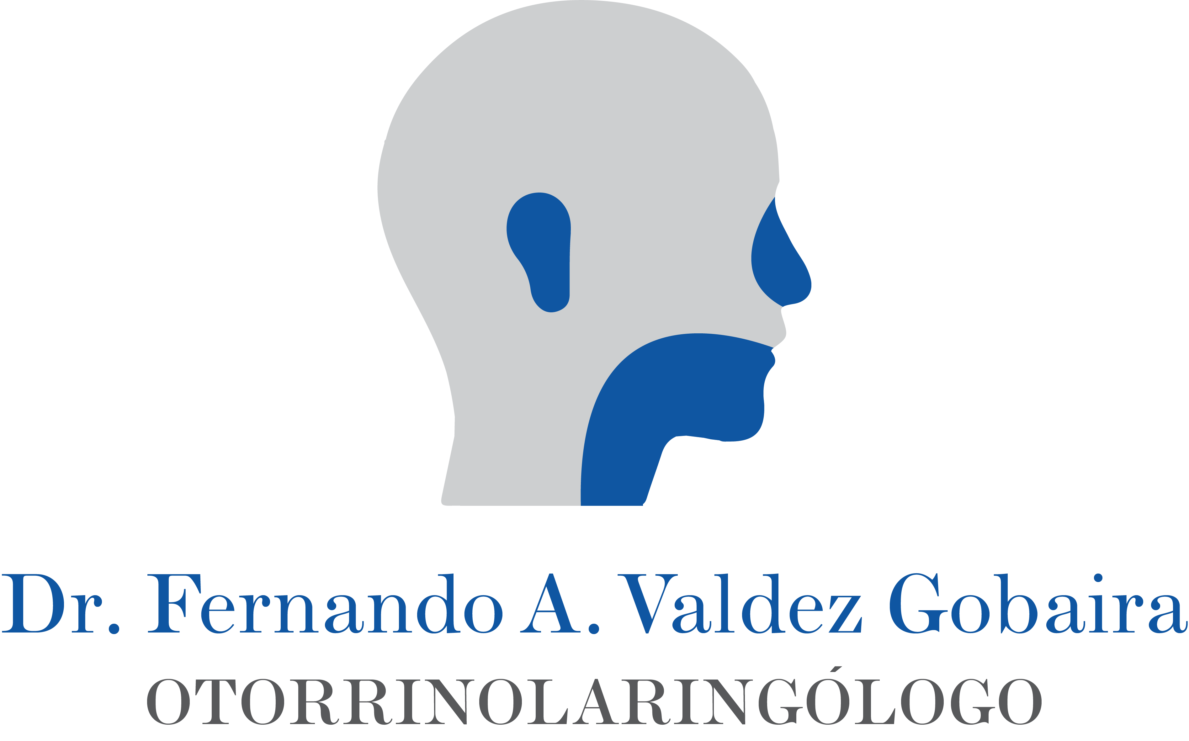 Dr. Fernando A. Valdez Gobaira